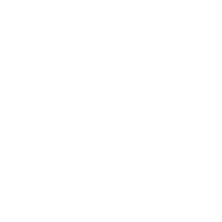 Logo FORD blanc